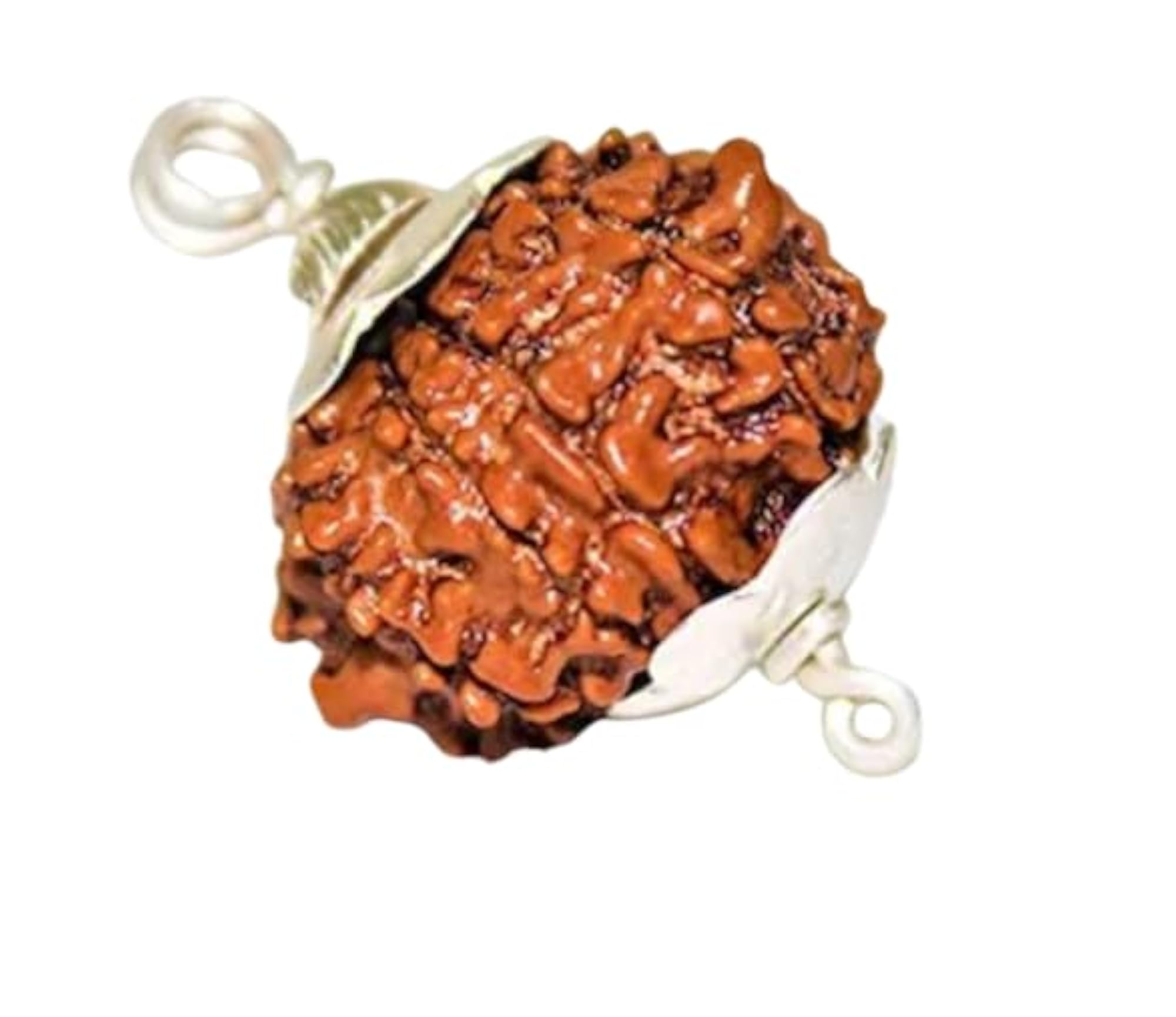 9 Mukhi Rudraksha Pendant with Capping, Certified Natural Bead